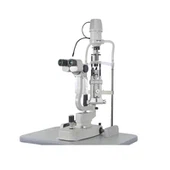 โคมไฟกรีด Sunkingdom